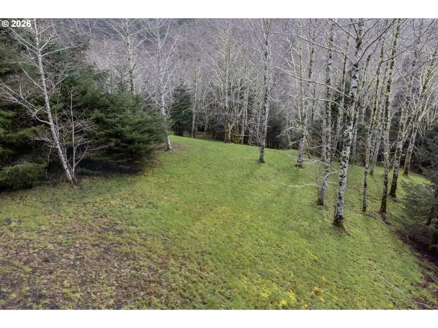 Aleolian Way, Neskowin, OR 97149 - #2