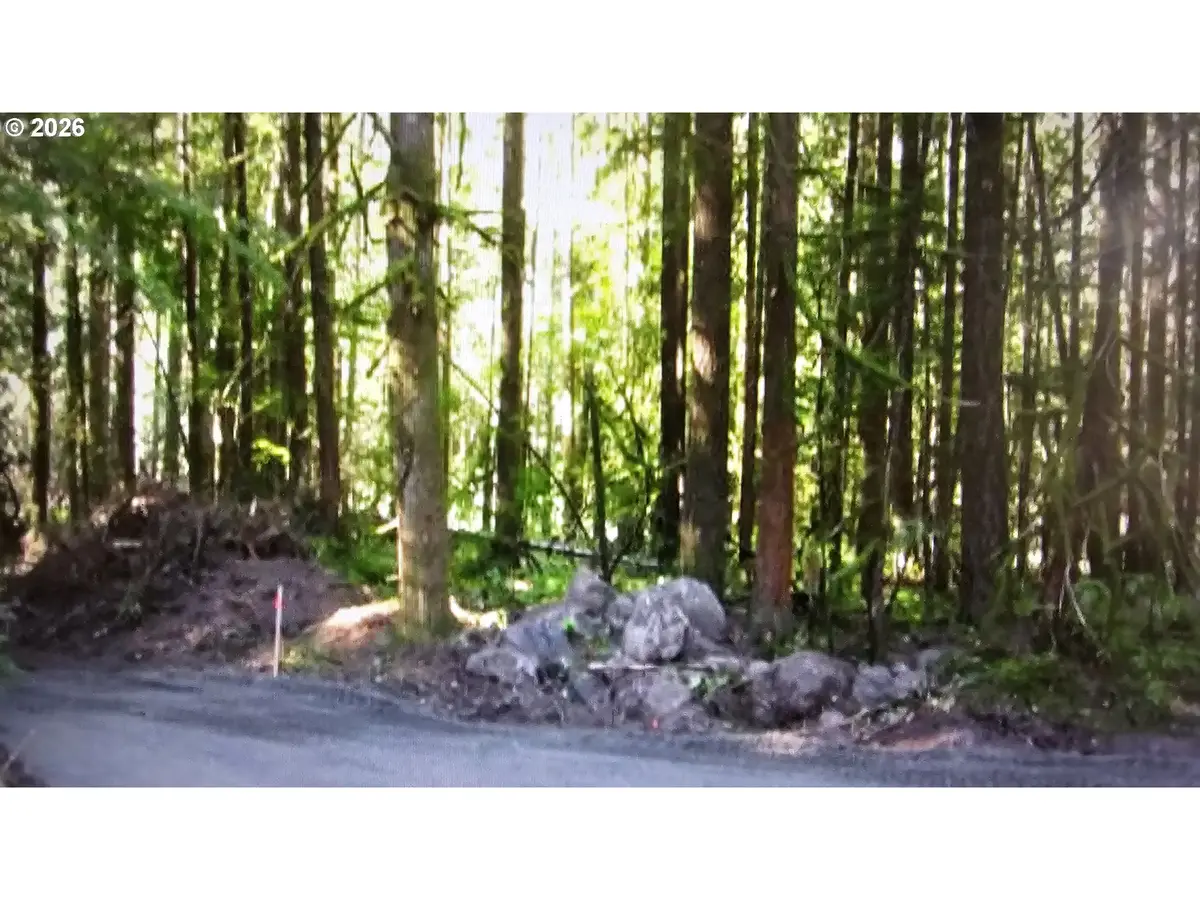 E John Lake Rd, Rhododendron, OR 97049 - #1