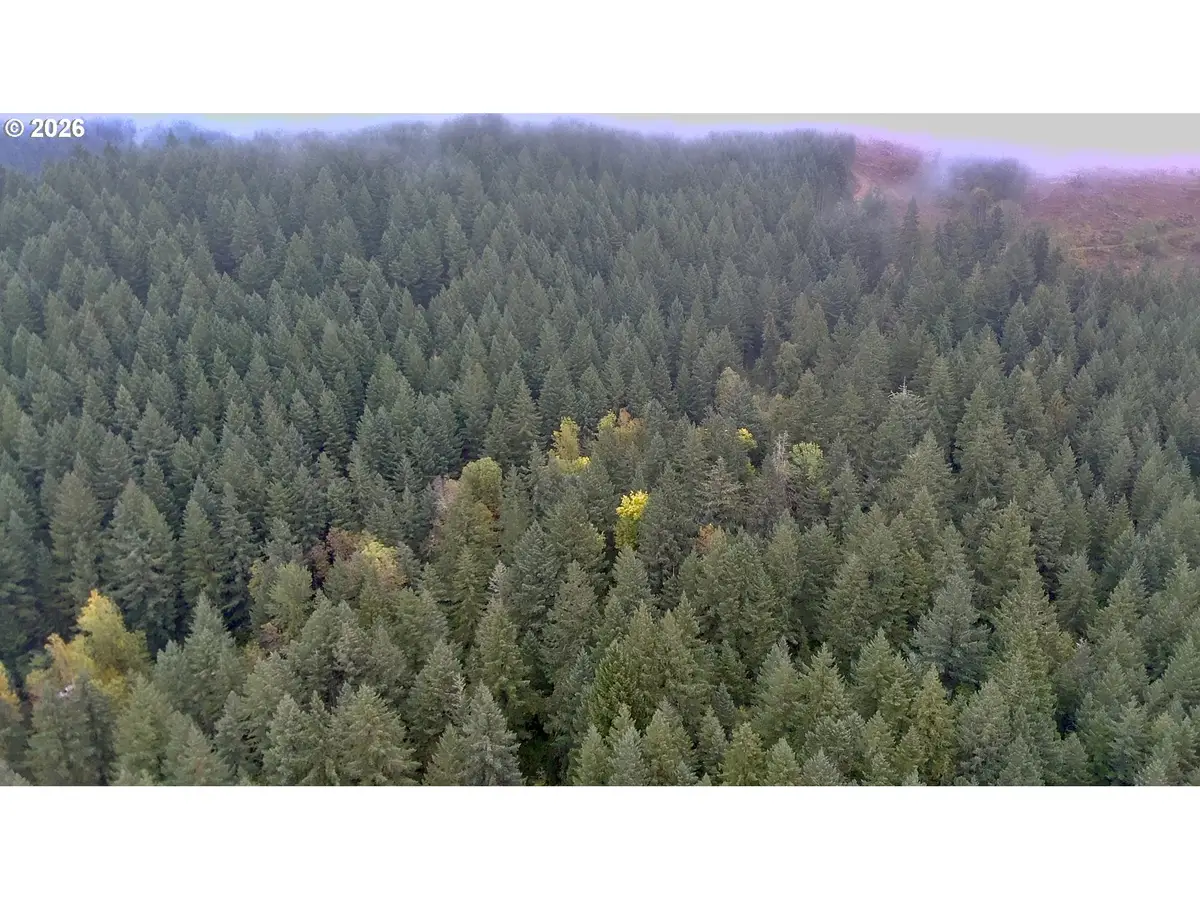 78715 Rat Creek Rd, Cottage Grove, OR 97424 - #1