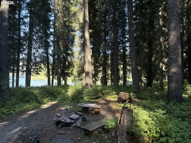 27428 W Odell Rd #T4, Crescentlake, OR 97733 - #2