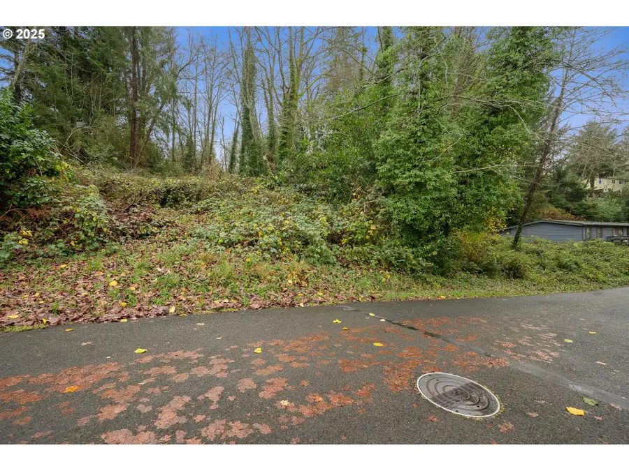 Vl10602 I St, Nehalem, OR 97131 - Image #2