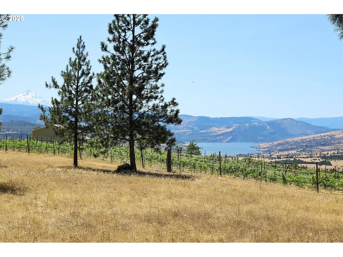 4 Murdock Rd, Lyle, WA 98635 - #1