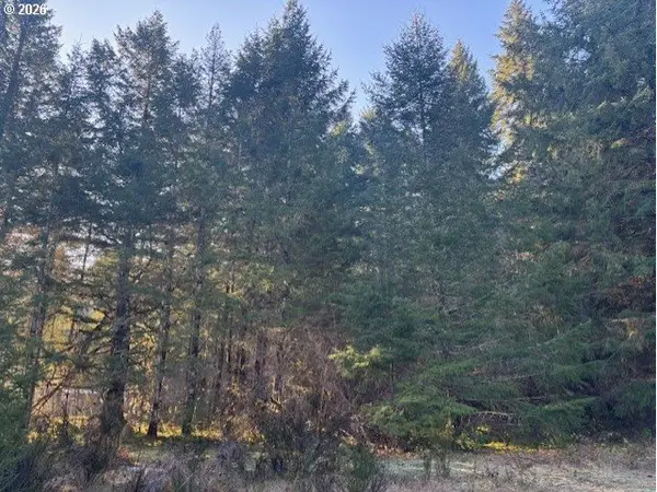 Brice Creek Rd, CottageGrove, OR 97424