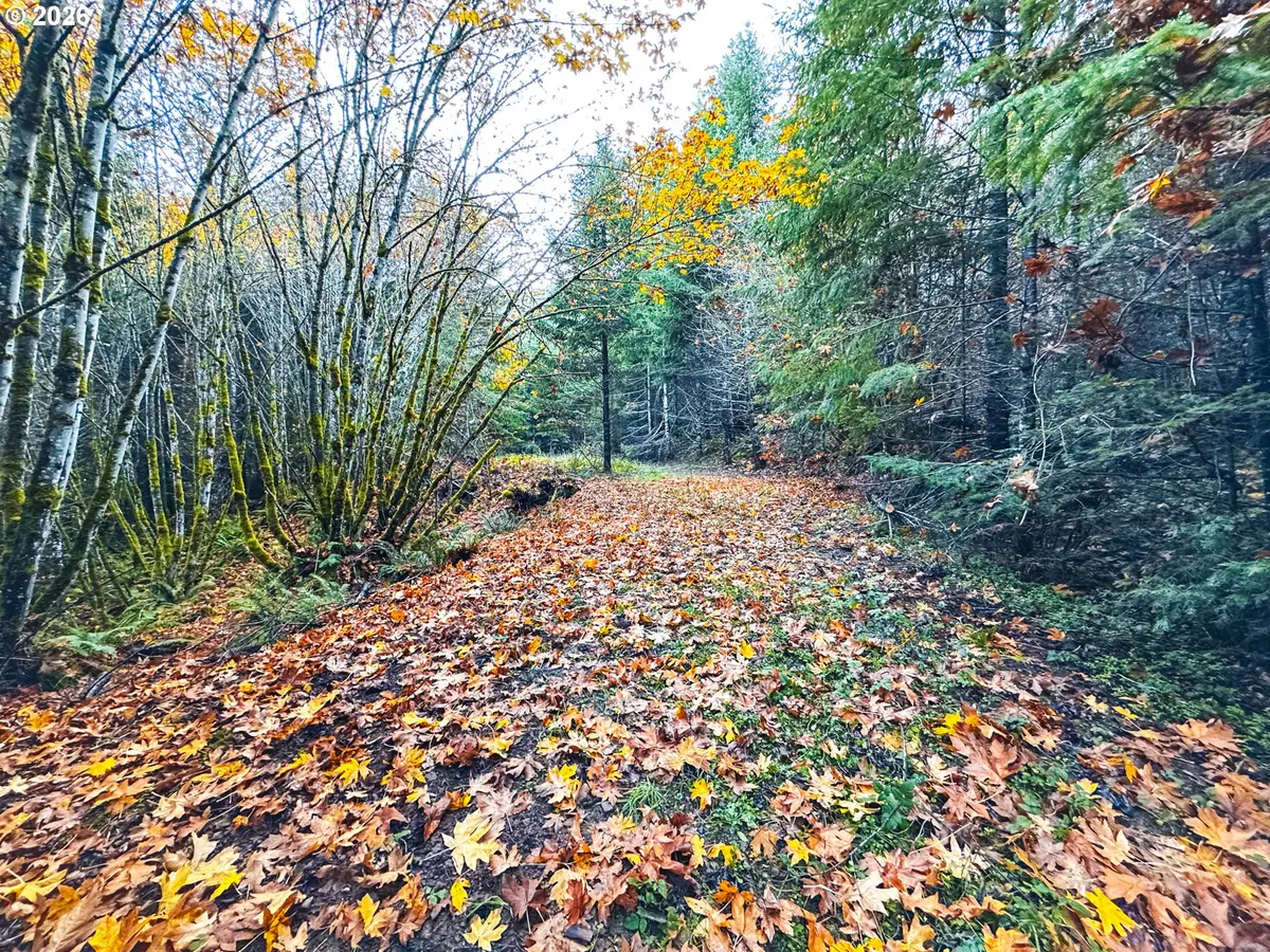 La Duke Rd #TL105, Westfir, OR 97492 - #1