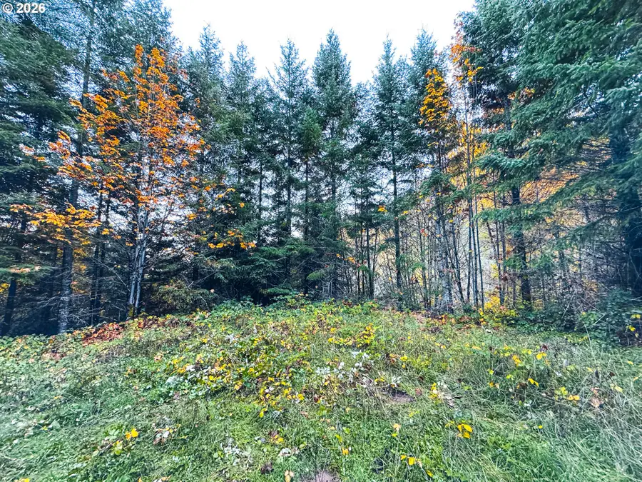 La Duke Rd #TL105, Westfir, OR 97492 - #3