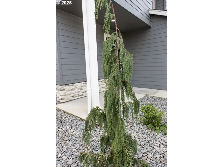 12819 NE 109th St, Vancouver, WA 98682 - Image #3