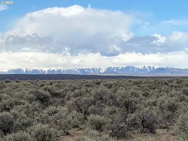 Hwy 95, Jordan Valley, OR 97910 - #1