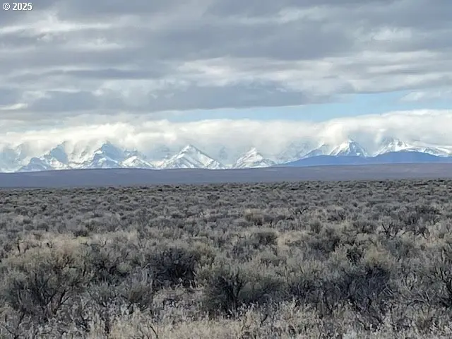 Hwy 95, Jordan Valley, OR 97910 - #3
