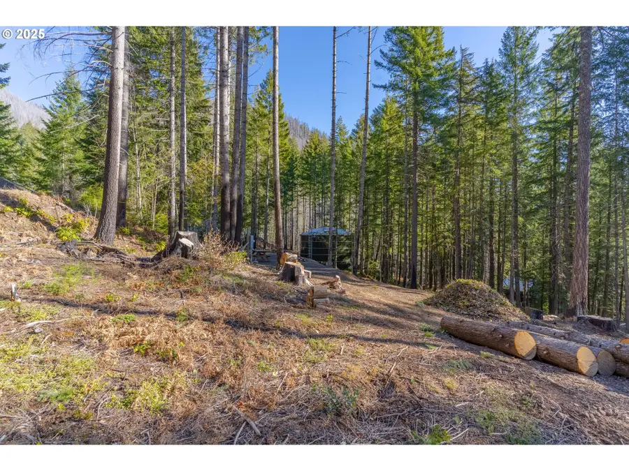 135 E Weber St, Detroit, OR 97342 - Image #2