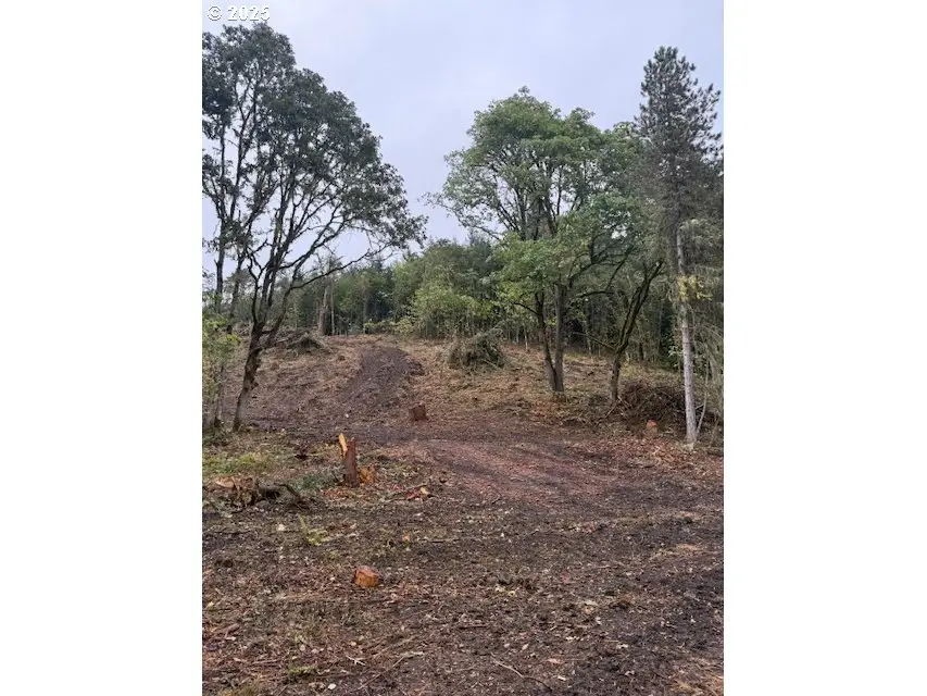 Mountain Home Dr, Brownsville, OR 97327 - Image #2