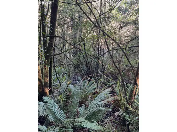 Dogwood, Coquille, OR 97423