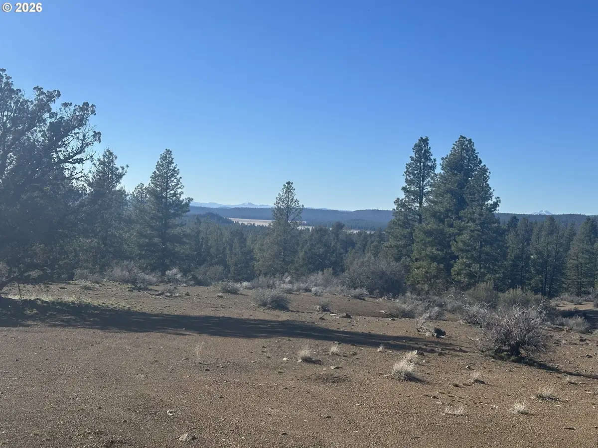 Ruffed Grouse #7, Chiloquin, OR 97624 - #1