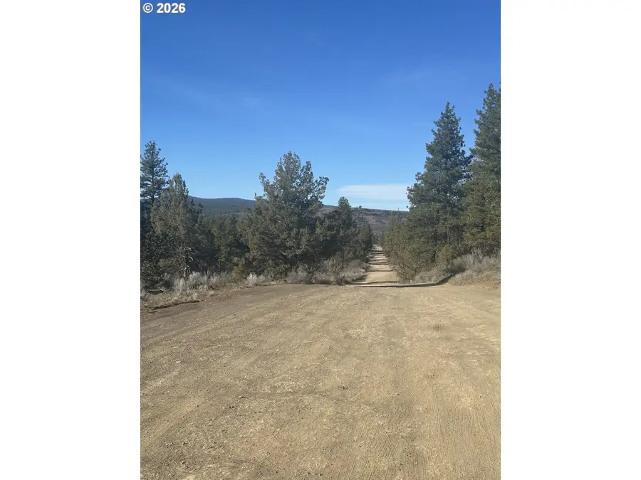 Ruffed Grouse #7, Chiloquin, OR 97624 - #3