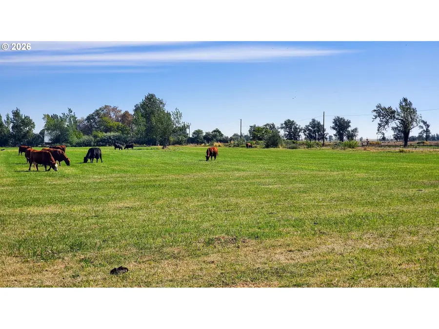 68499 Kunze Ln, Boardman, OR 97818 - #2