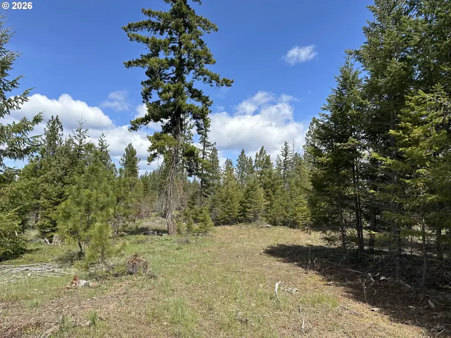 Ranger Rd #1, Goldendale, WA 98620 - #2