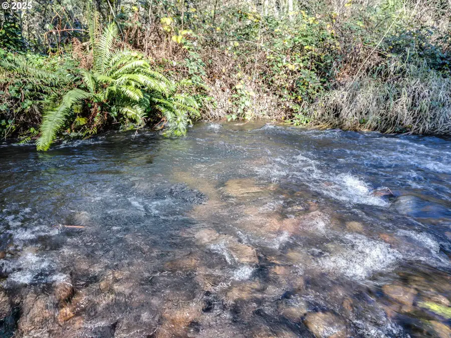 Coalman Rd, Sandy, OR 97055 - Image #3