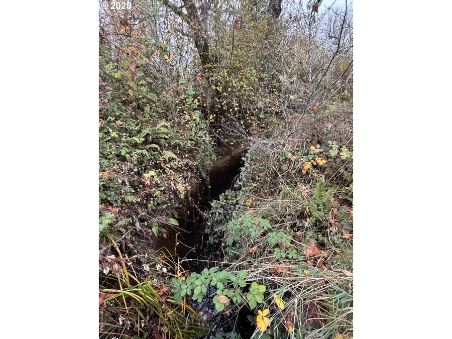 Battle Creek Rd, Eugene, OR 97402 - Image #2