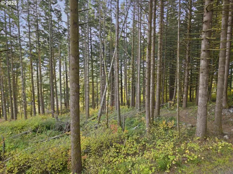 Warren Rd #3, North Bonneville, WA 98639 - Image #3