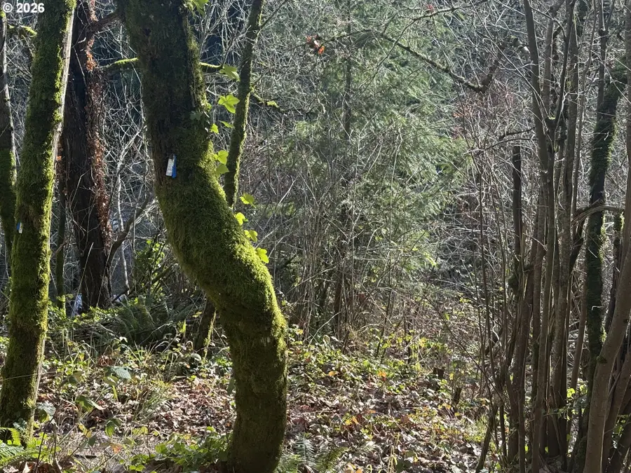 0 SW Broadway Dr, Portland, OR 97201 - Image #3