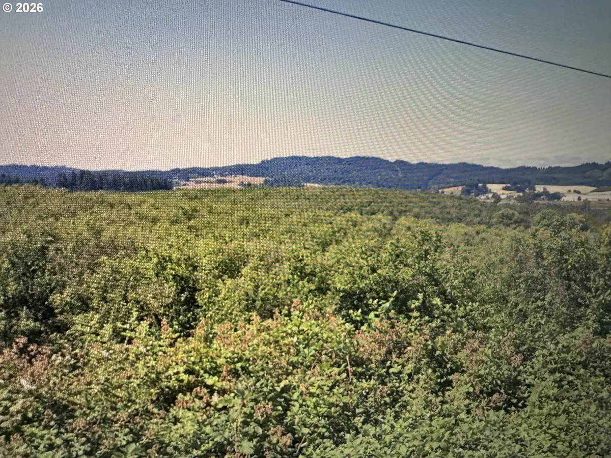 42680 SW Gaston Rd, Gaston, OR 97119 - #1