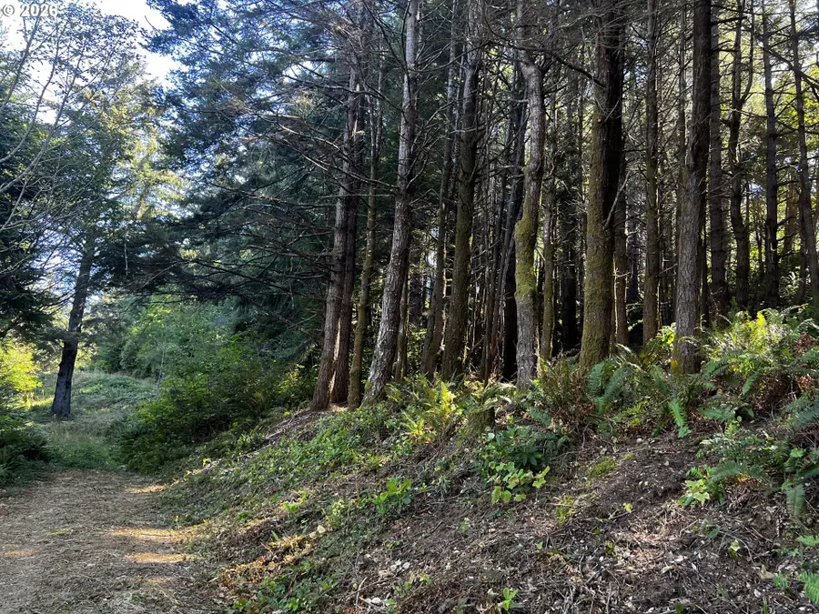 Horizon, Goldbeach, OR 97444 - #3