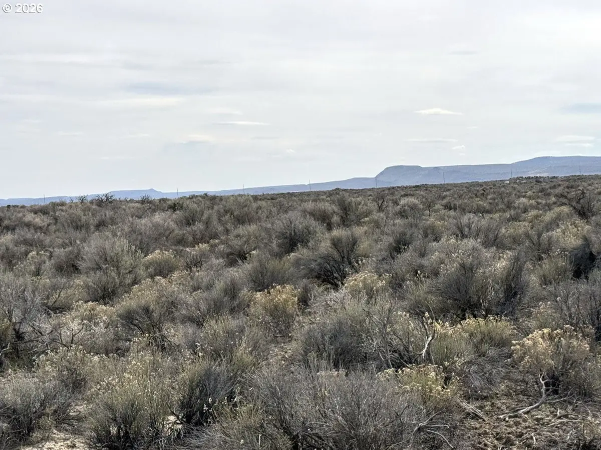 Fossil Lake Road #100, Christmas Valley, OR 97641 - #1