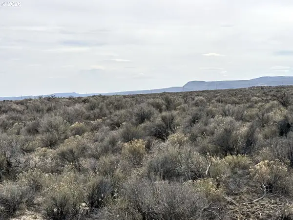 Fossil Lake Road #100, ChristmasValley, OR 97641