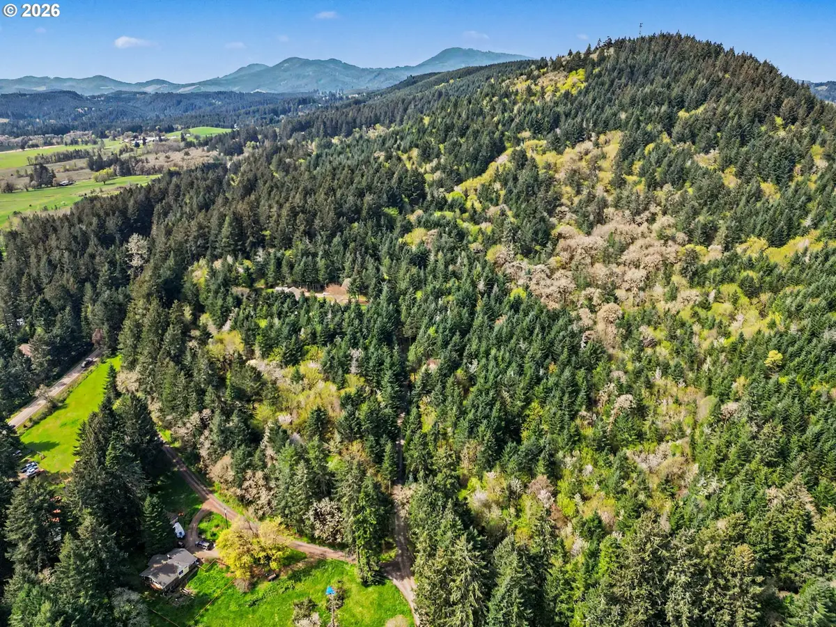 25100 Aurora (adj To) Ln, Philomath, OR 97370 - #1