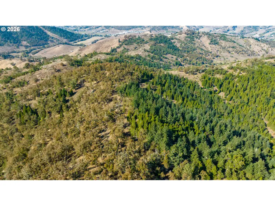Buckhorn Rd, Roseburg, OR 97470 - #3