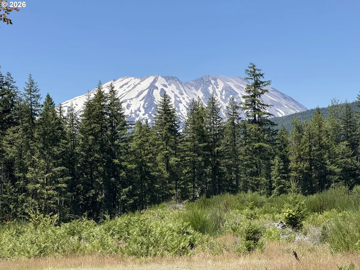0 Lahar Ln #9, Cougar, WA 98616 - #1