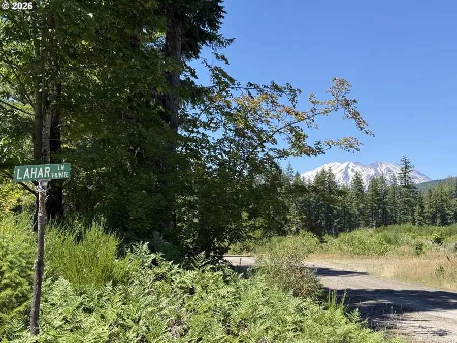 0 Lahar Ln #9, Cougar, WA 98616 - #2