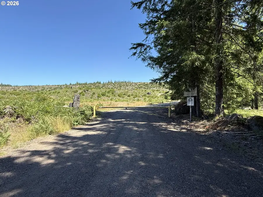 0 Lahar Ln #9, Cougar, WA 98616 - #3