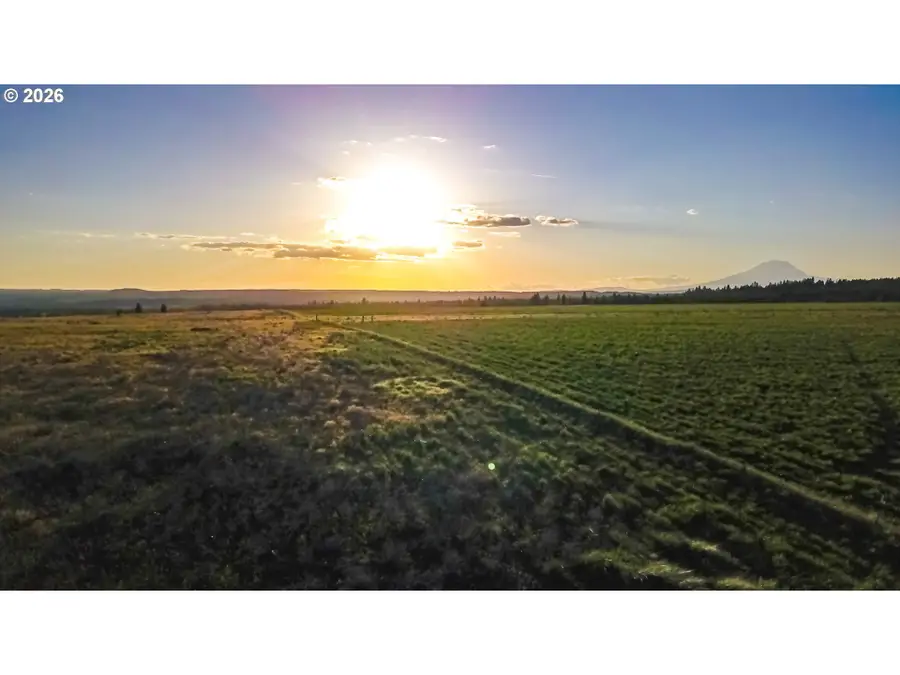 35 Buddy Ln, Goldendale, WA 98620 - #3
