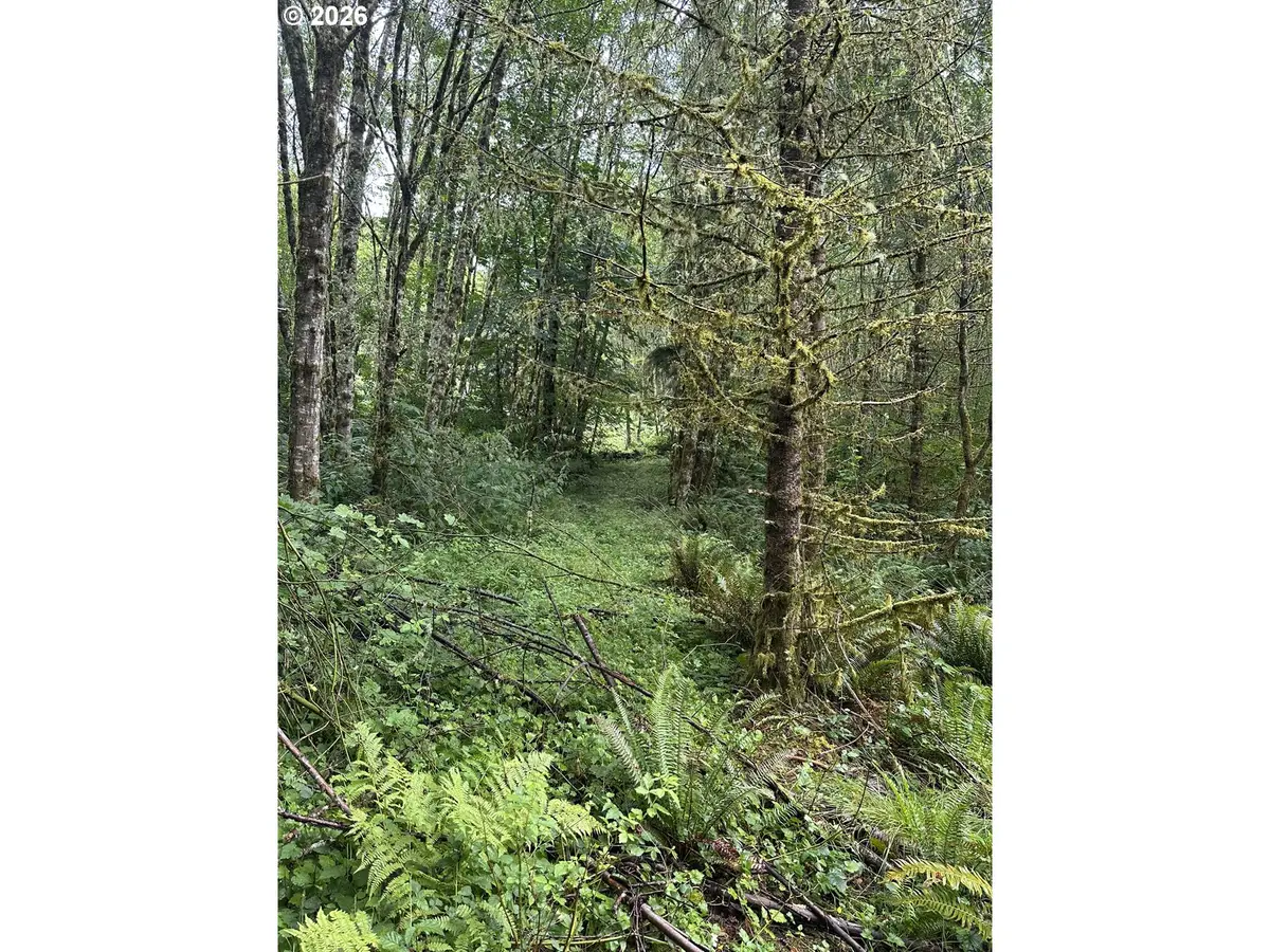 458 Ravenwood Rd #8, Kelso, WA 98626 - #1