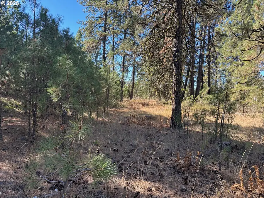 1 Garrison Rd, Goldendale, WA 98620 - Image #3