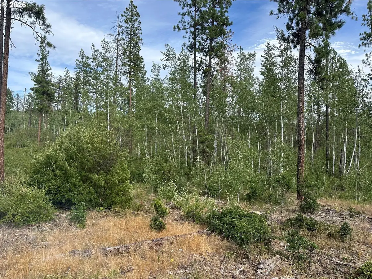 Lot 5 Greyback Mtn Rd #5, Goldendale, WA 98620 - #1