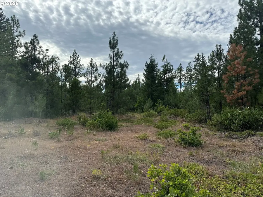 Lot 5 Greyback Mtn Rd #5, Goldendale, WA 98620 - #2