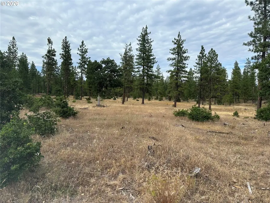 Lot 5 Greyback Mtn Rd #5, Goldendale, WA 98620 - #3