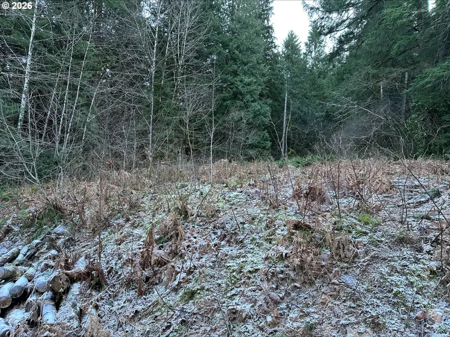 71360 E Jennie Ln, Rhododendron, OR 97049 - #3