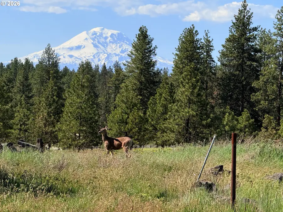 90 Harris Pl, Goldendale, WA 98620 - #2