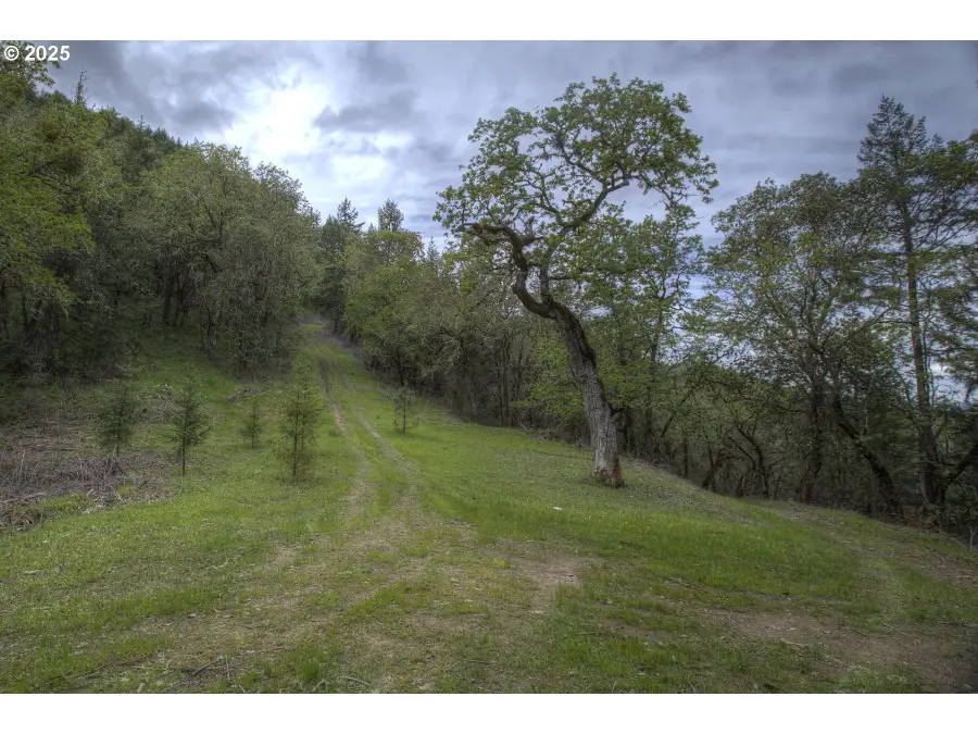 1263 Yokum Rd, Riddle, OR 97469 - Image #3