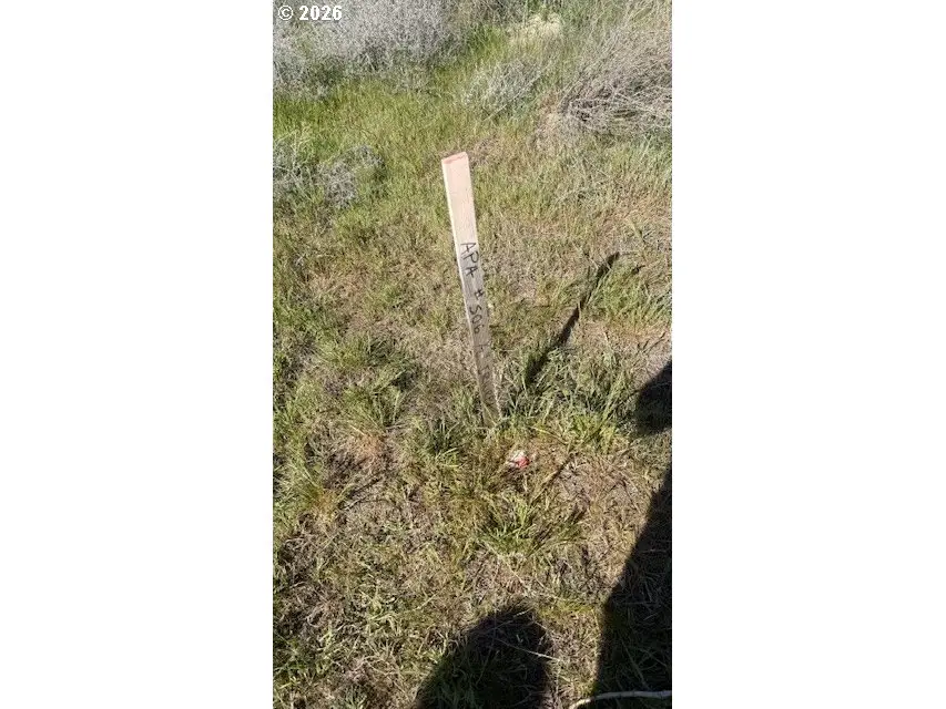 Front St Ne, Boardman, OR 97818 - #3