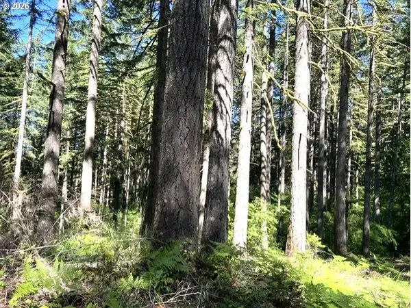 Tunnel Tract Parcel3, Banks, OR 97106
