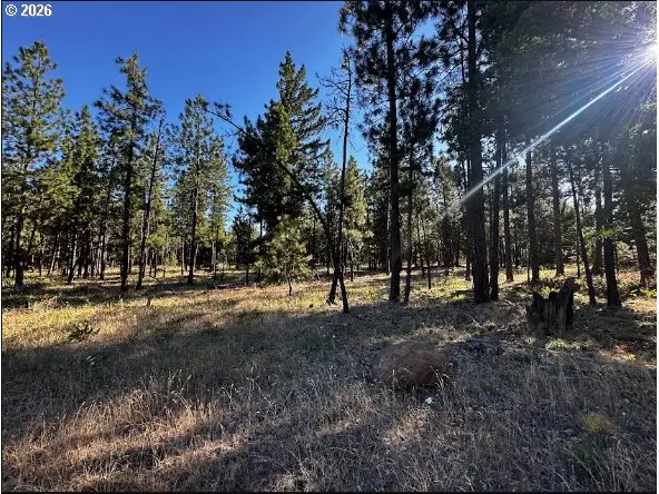 2 Carol Ln, Goldendale, WA 98620 - #1