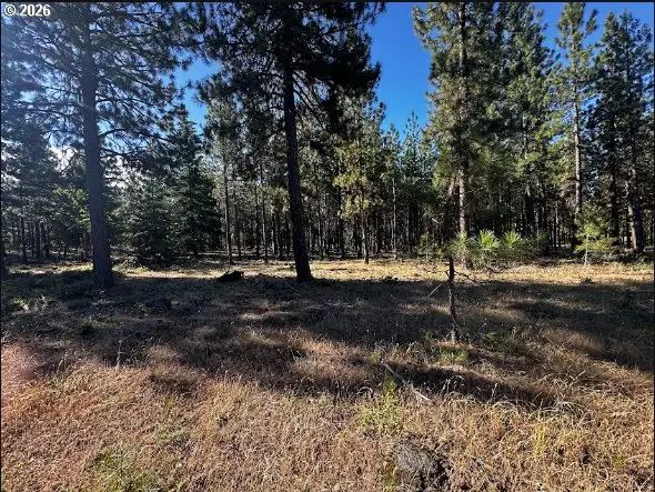2 Carol Ln, Goldendale, WA 98620 - #2