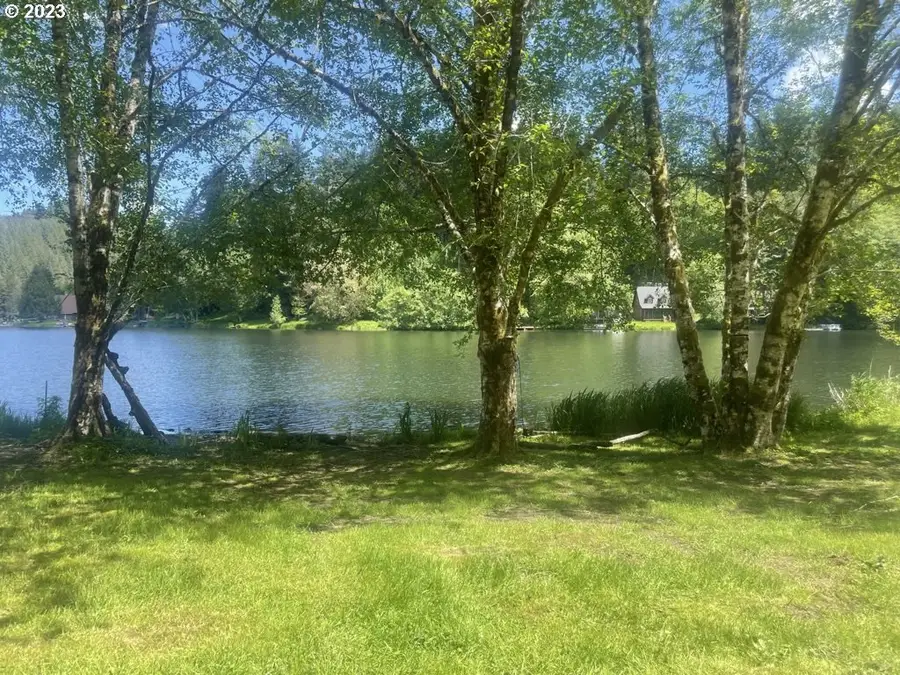 71378 Northshore Dr, Birkenfeld, OR 97016 - #3