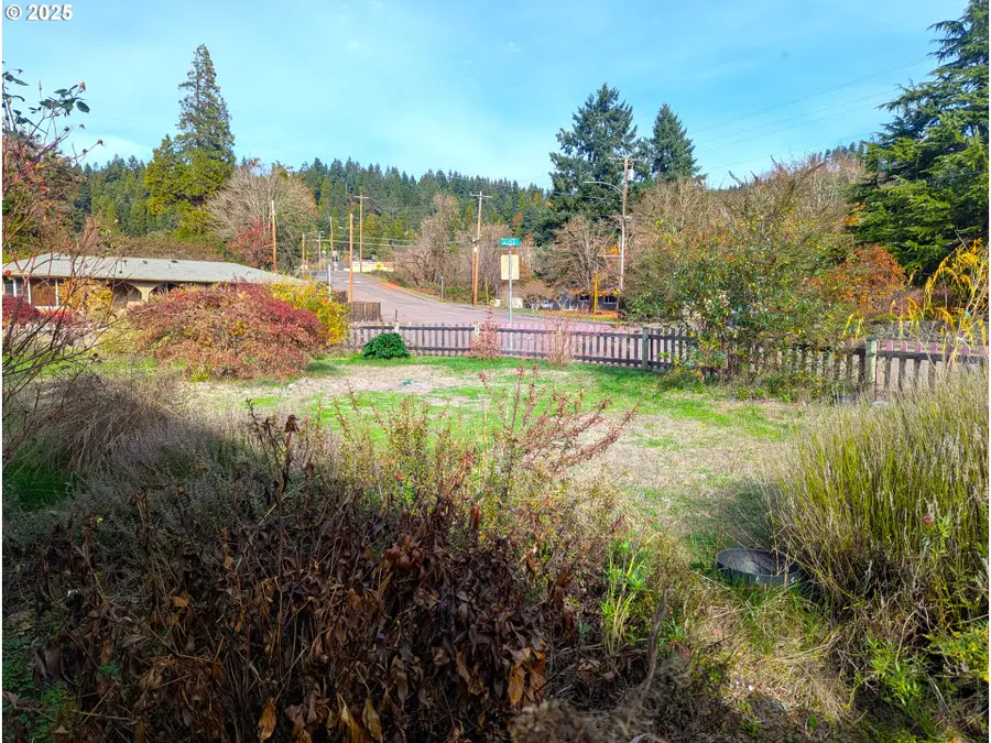76232 Beech St, Oakridge, OR 97463 - #2