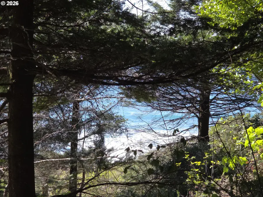 Hammond Ln #9, Goldbeach, OR 97444 - #3