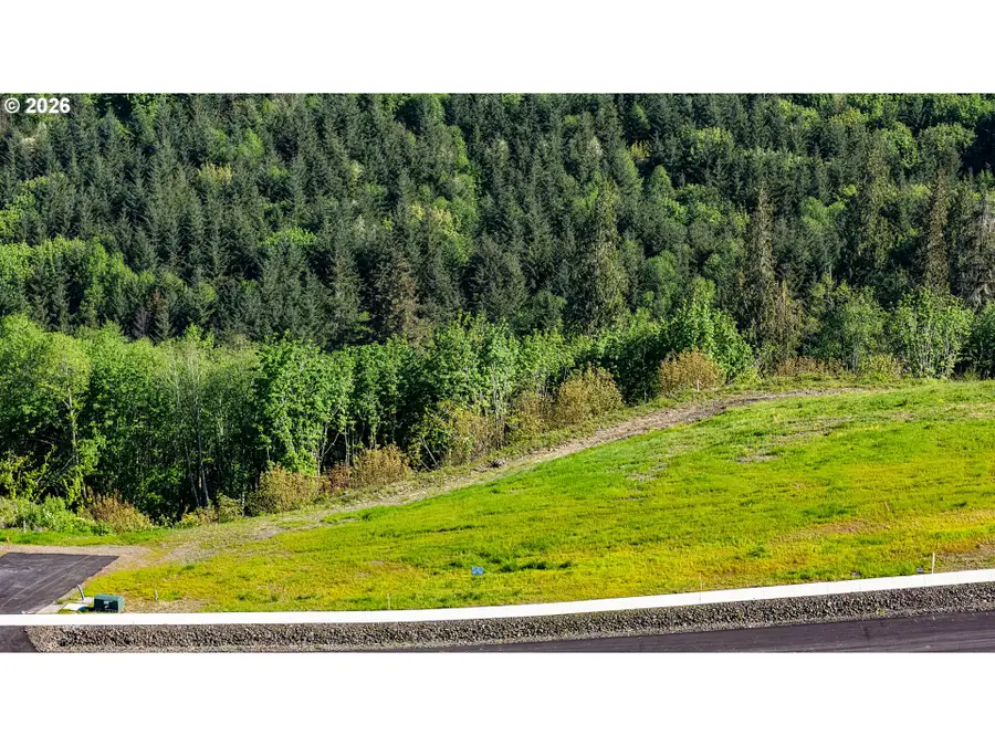 0 Carmen Sylvia Dr #Lot 13, Kalama, WA 98625 - #3