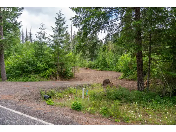 10392 Wind River Hwy, Carson, WA 98610